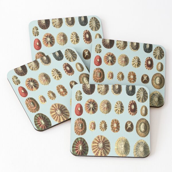 Item preview, Limpet Shells Vintage Antique Scientific Natural History Illustration designed and sold by MoPaws.