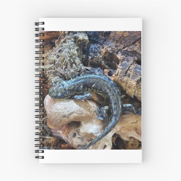 Item preview, Eastern tiger salamander  designed and sold by AmethystHux.