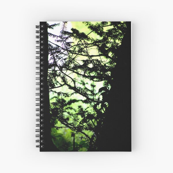 Shadows of the Yew Spiral Notebook