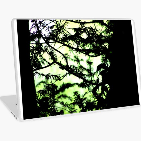 Shadows of the Yew Laptop Skin