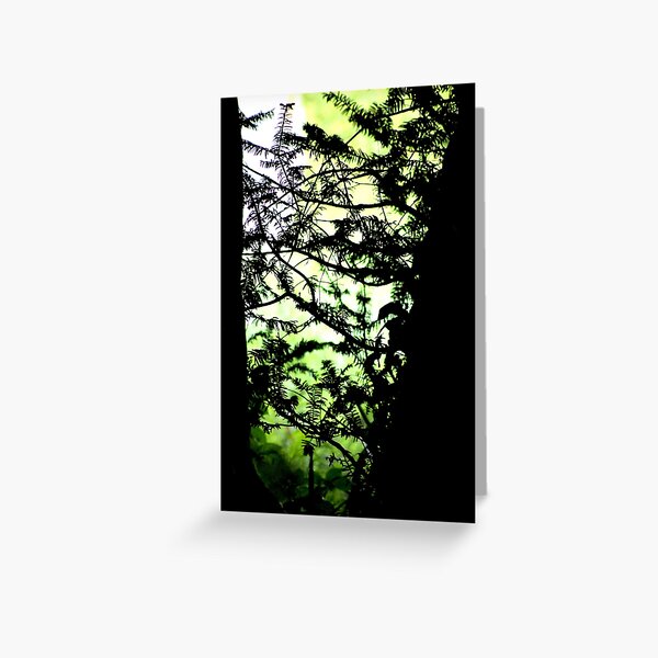 Shadows of the Yew Greeting Card