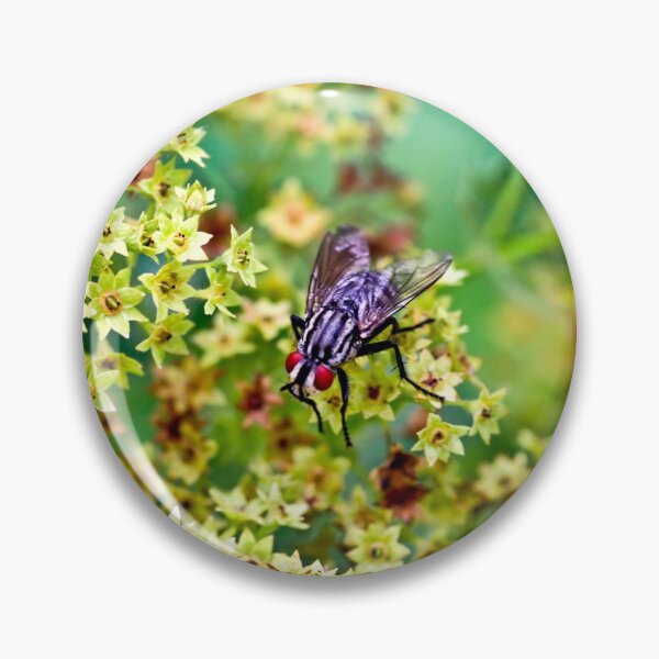 Item preview, Fly designed and sold by QuackerSnaps.