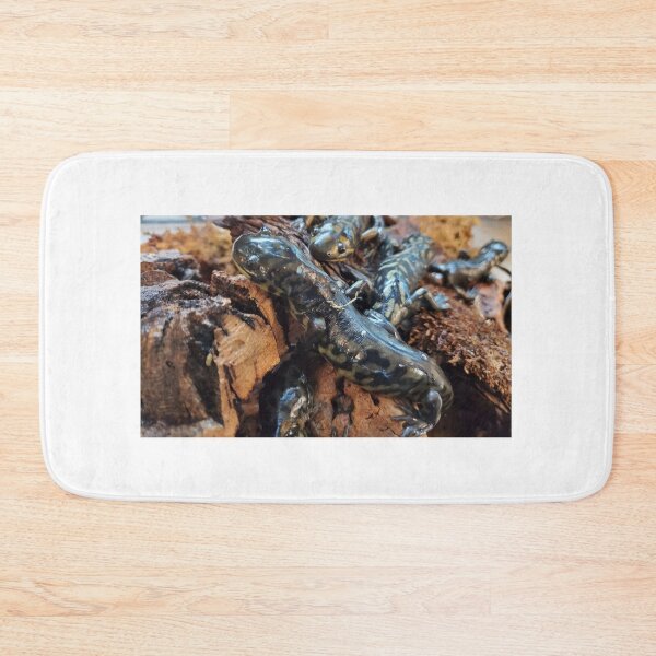 Item preview, Eastern tiger salamander group designed and sold by AmethystHux.