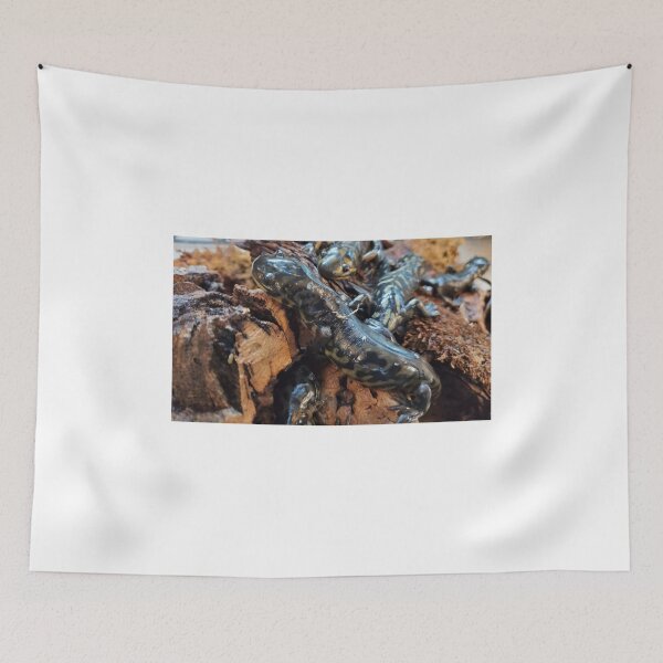 Item preview, Eastern tiger salamander group designed and sold by AmethystHux.
