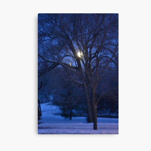 Moonset in Winter Canvas Print