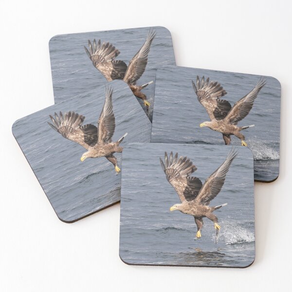 Item preview, White-tailed eagle's successful fishing designed and sold by Marion Joncheres.