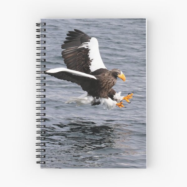 Item preview, Steller eagle fishing designed and sold by Marion Joncheres.