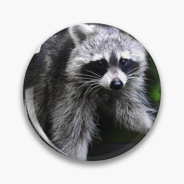 Item preview, Corona mascot - raccoon designed and sold by Glineur.