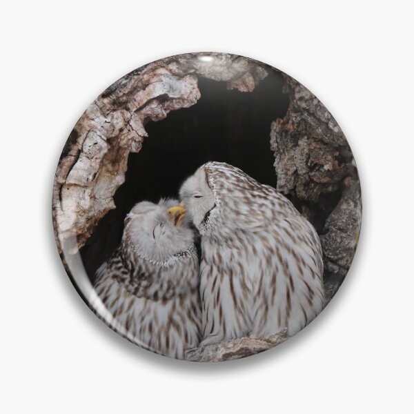 Item preview, Ural owls kissing designed and sold by Marion Joncheres.