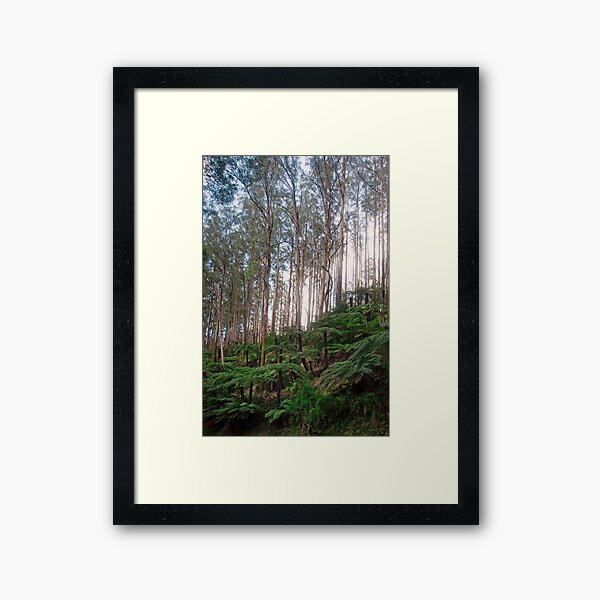 Item preview, Yarra Ranges National Park designed and sold by Ozjanette90.