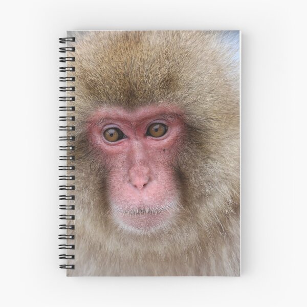 Item preview, Snow monkey designed and sold by Marion Joncheres.