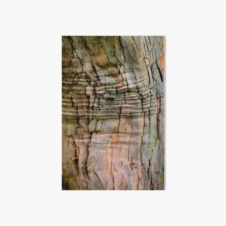 Yew tree bark texture Art Board Print