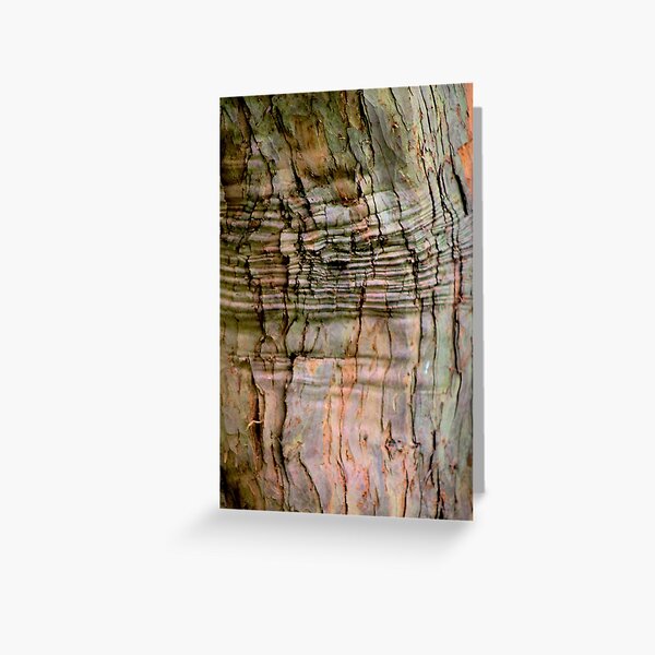 Yew tree bark texture Greeting Card