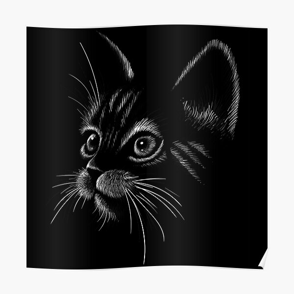 "Chalk Drawing of Cute Cat on Black BackgroundI Love Cats" Poster for