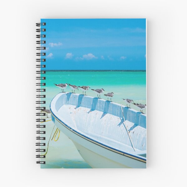 Item preview, Isla Holbox seagulls Seagulls on a white boat with a blue sky and the Caribbean sea on the background  designed and sold by michieldros.