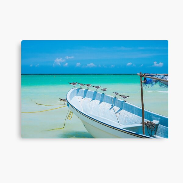 Isla Holbox seagulls Seagulls on a white boat with a blue sky and the Caribbean sea on the background Canvas Print