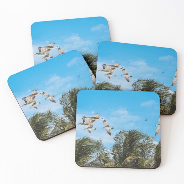 Item preview, Seagulls with palm trees and blue sky on Isla Holbox (Mexico) designed and sold by michieldros.