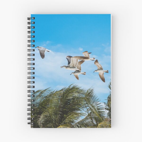 Item preview, Seagulls with palm trees and blue sky on Isla Holbox (Mexico) designed and sold by michieldros.