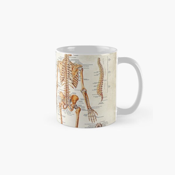 Antique Anatomy Classic Mug