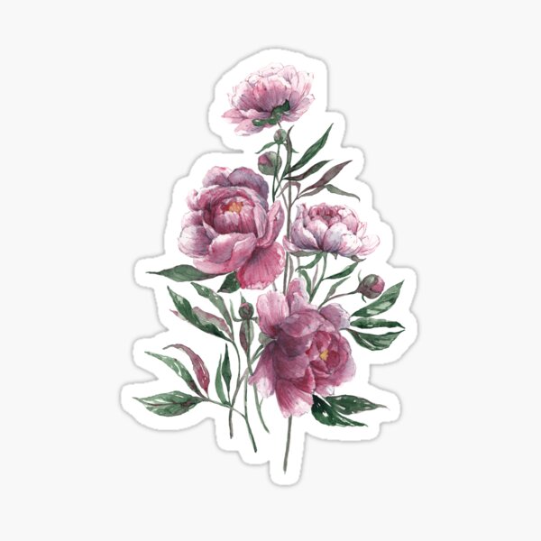 peony watercolor flowers Sticker