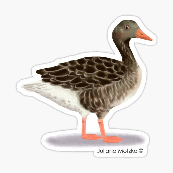 Goose Sticker