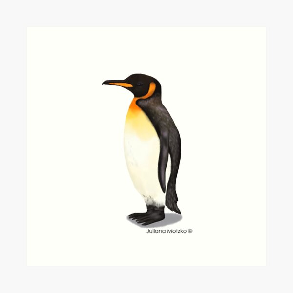 King Penguin Art Print