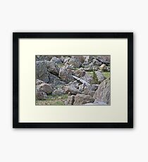Granite, granite everywhere! Framed Print