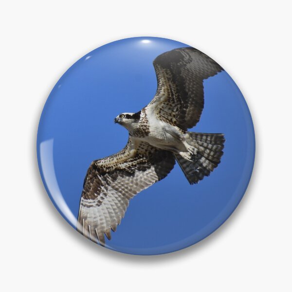 Artikelvorschau, Brave Heart Osprey entworfen und verkauft von Jackthehare.