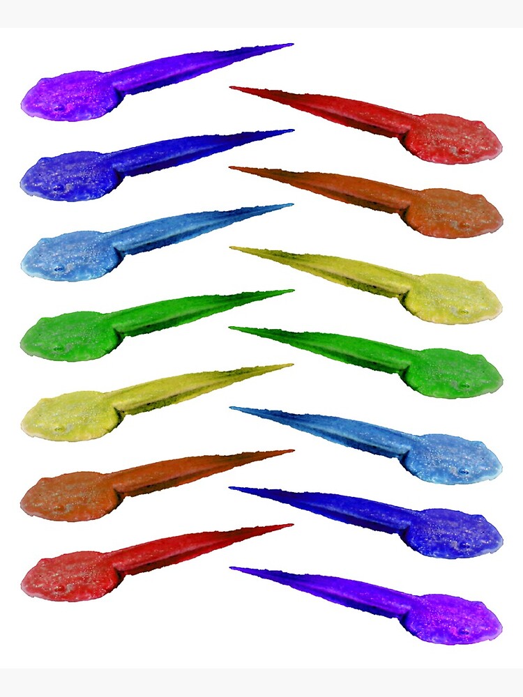 Rainbow Tadpoles by mark-bugs-org