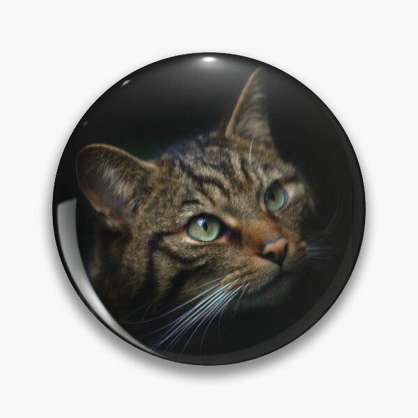 Item preview, Scottish Wild Cat designed and sold by Ladymoose.