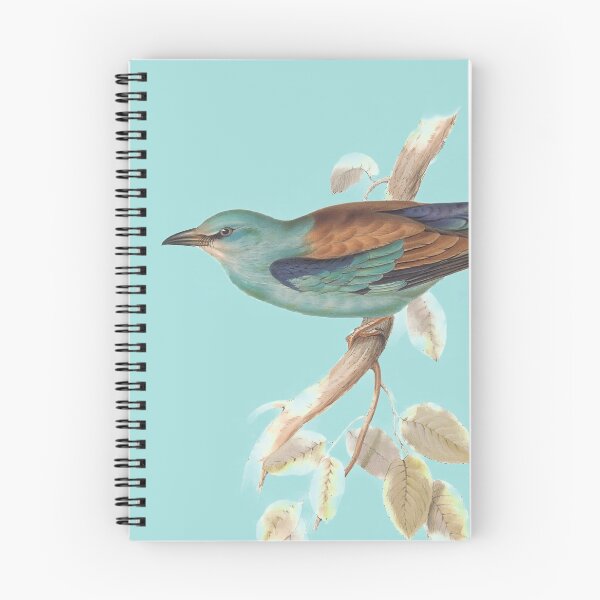 Item preview, Roller Bird Vintage Ilustración científica antigua designed and sold by MoPaws.
