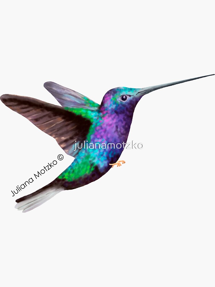 Hummingbird by julianamotzko
