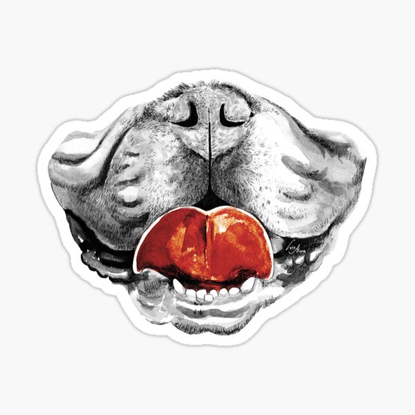 Hundeschnautze Illustration Sticker
