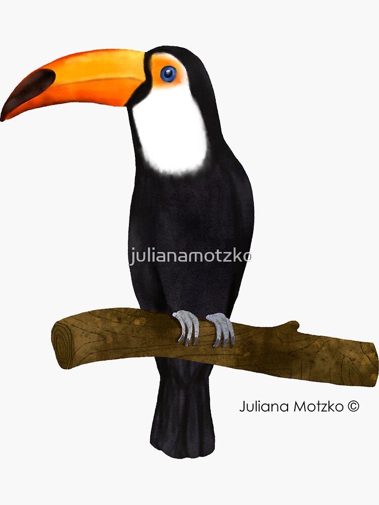 Toucan by julianamotzko