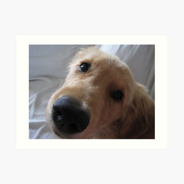the long face Art Print