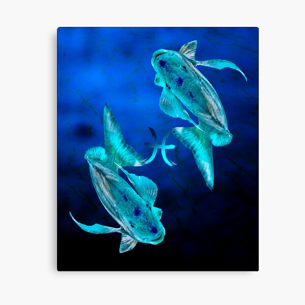 pisces Canvas Print