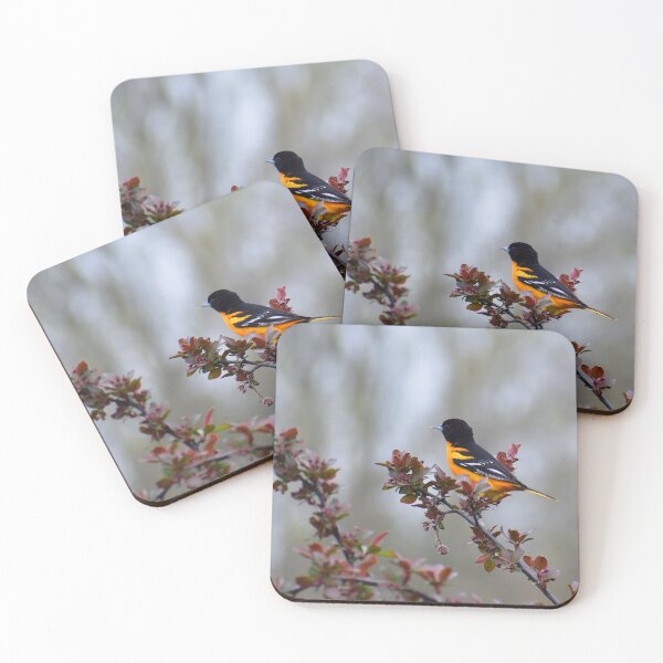 Item preview, Oriole Singing designed and sold by Jackthehare.