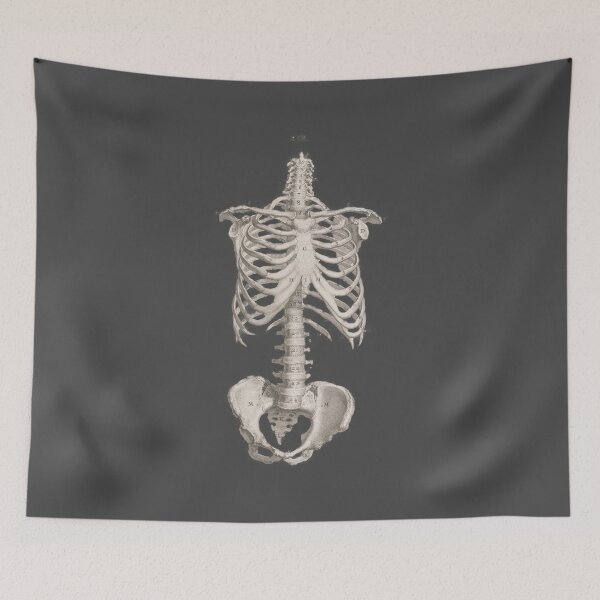 Item preview, Vintage Medical Anatomy Skeleton Chest Medicine designed and sold by MoPaws.
