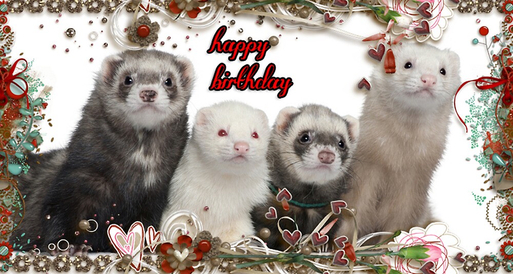 "Happy Birthday - Ferrets" by Kristie Theobald  Redbubble