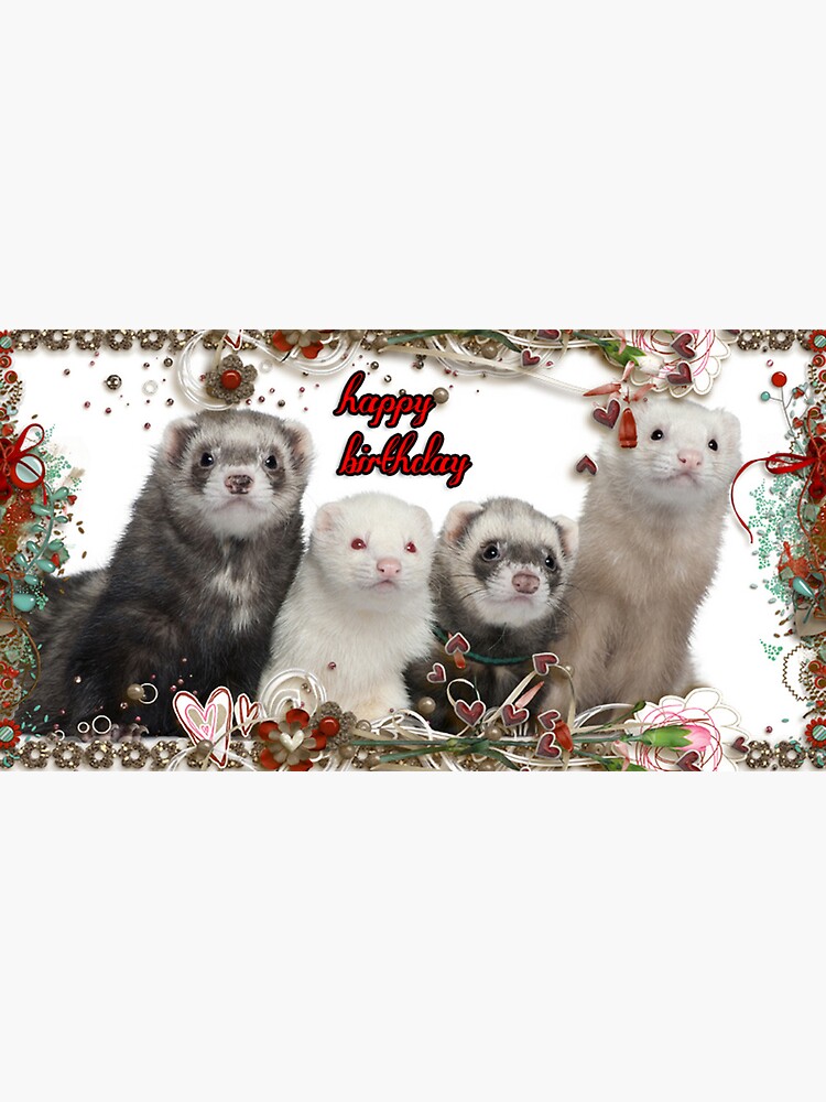 Carte De Vœux Joyeux Anniversaire Les Furets Par Kristieandleo Redbubble