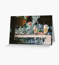 Laughing at the Lake House, Daylesford Greeting Card
