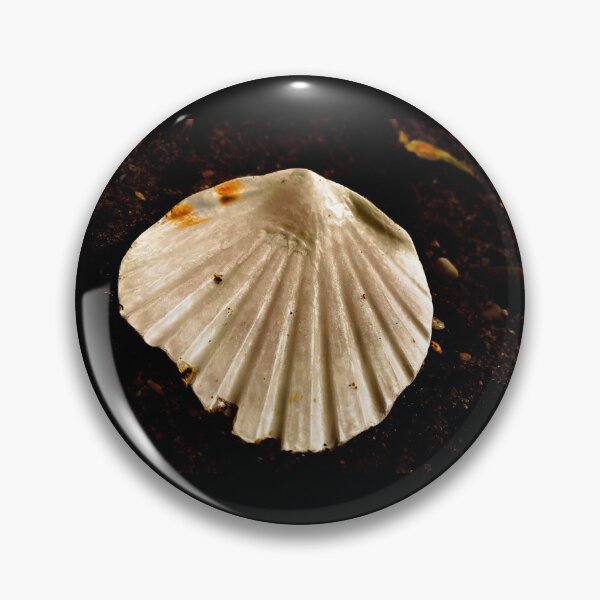 Item preview, Large Seashell designed and sold by IBMClothing.