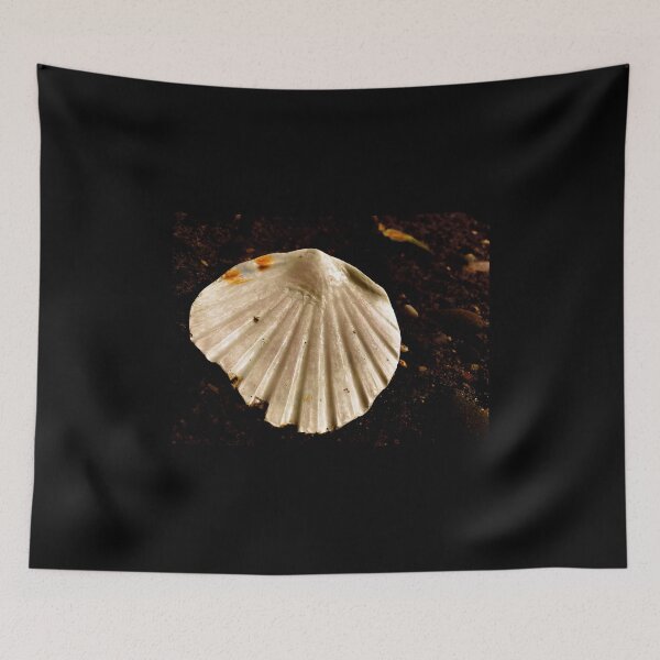 Item preview, Large Seashell designed and sold by IBMClothing.