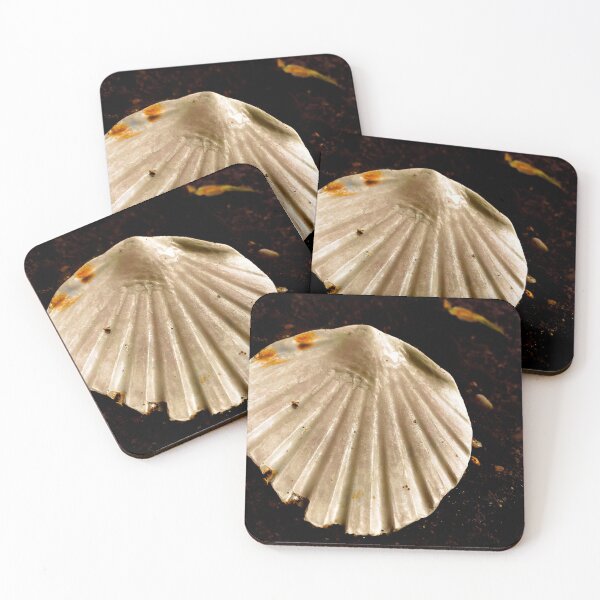 Item preview, Large Seashell designed and sold by IBMClothing.