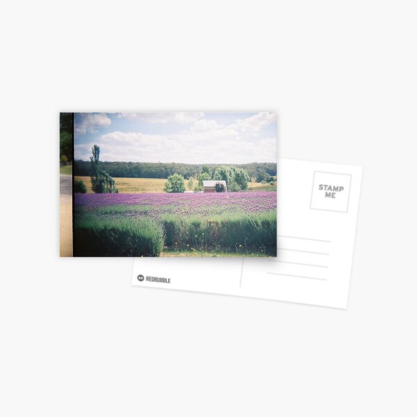 Item preview, Lavender farm, Daylesford designed and sold by Rachael Mullins.