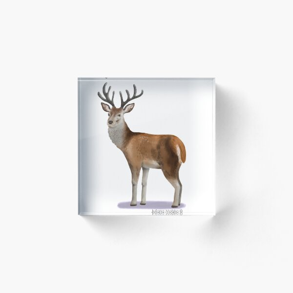 Deer Acrylic Block