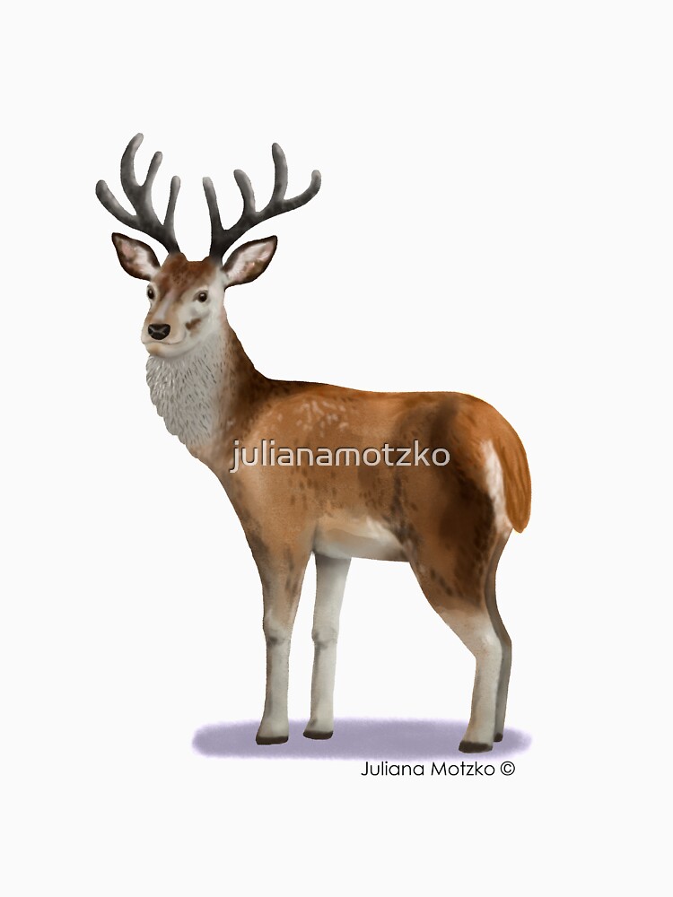 Deer by julianamotzko