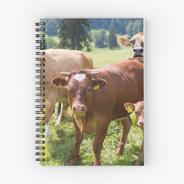 Item preview, Familia de vacas suizas designed and sold by Niklas Jacobi.