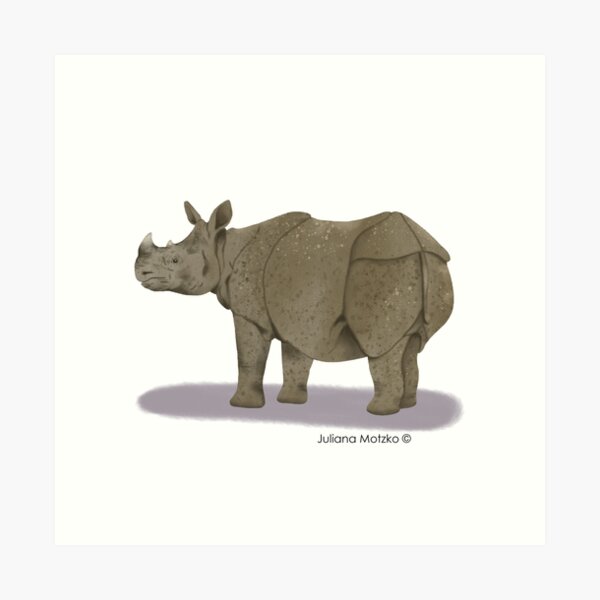 Sumatran Rhino Art Print