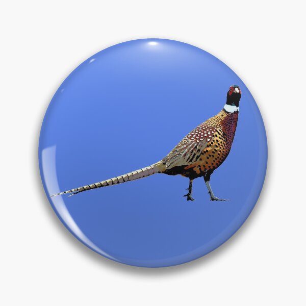 Item preview, Pheasant Color Print  designed and sold by designsasstultd.